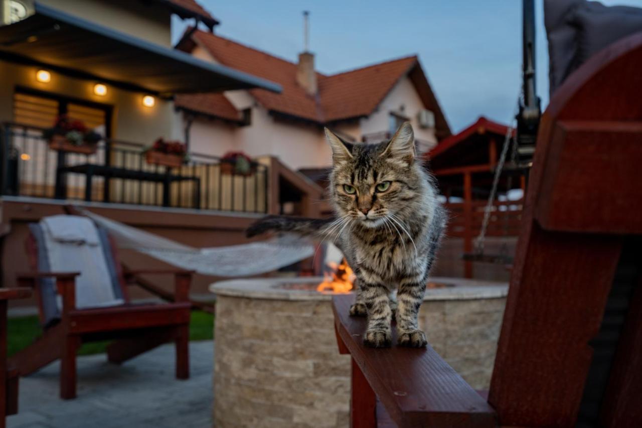 Roots Villa Redwood Braszów Zewnętrze zdjęcie